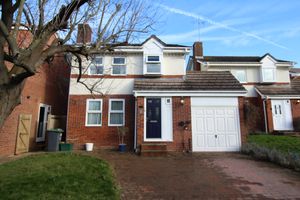 Photo 15- click for photo gallery